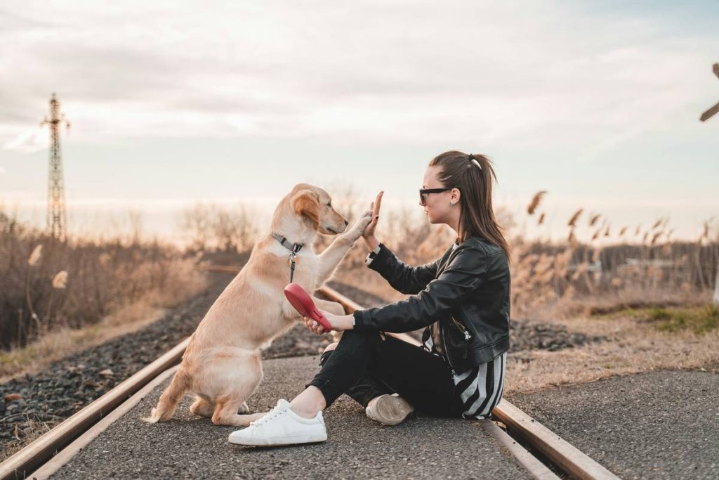 The Positive Sit Training Method That Actually Works for Stubborn Pups